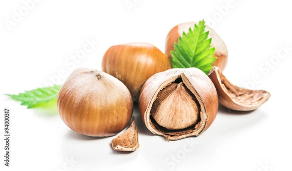 Fototapeta Hazelnuts isolated