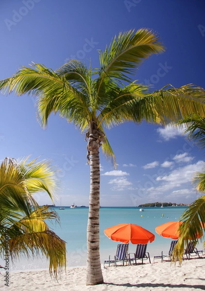 Obraz caribbean dream