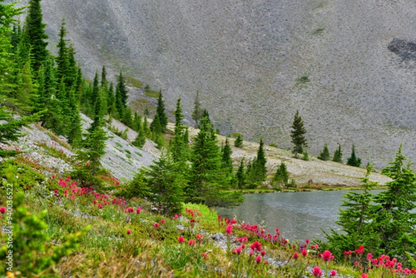 Obraz lake in the mountains