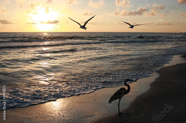 Fototapeta Florida sunset