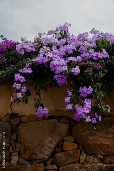 Obraz Colombian Color