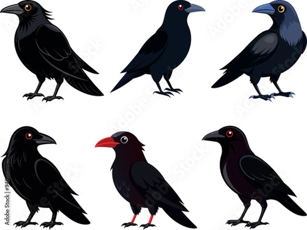 Obraz crow silhouette vector illustration
