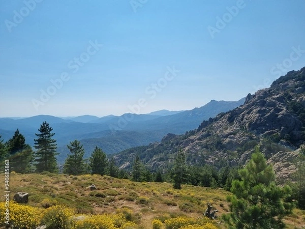 Obraz hiking trails in the beautiful mountain massif Col de Bavella with pine trees at Bocca di Bavedda, corsica, france