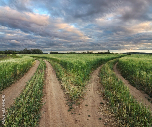 Fototapeta road fork
