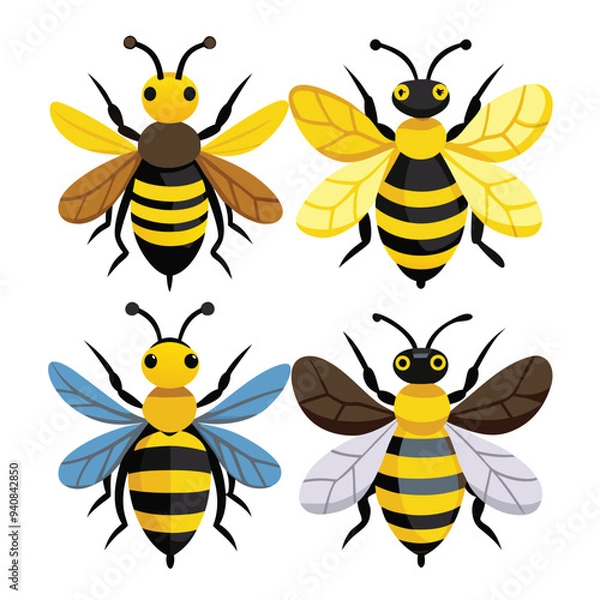 Fototapeta varieties bee vector 