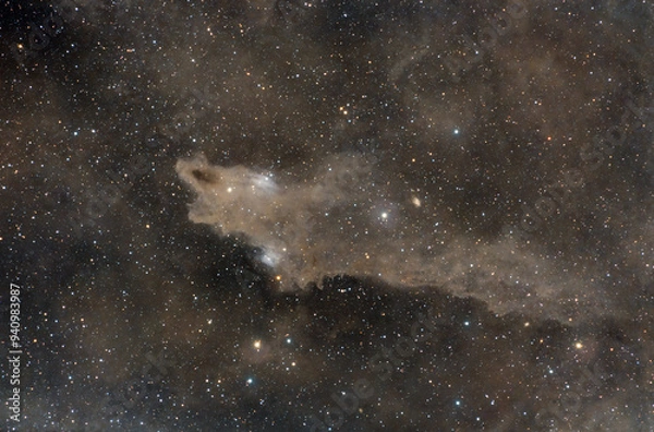 Obraz The Dark Shark Nebula