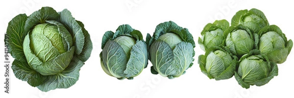 Obraz Fresh organic cabbage heads isolated on a transparent background showcasing green leafy vegetables ideal for healthy meals, vegan dishes, and nutritious diets