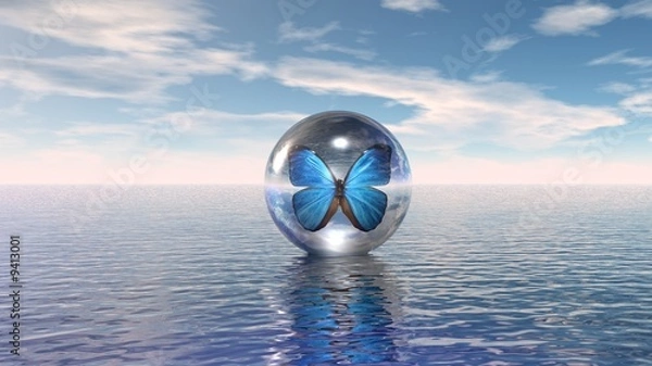 Obraz blue butterfly