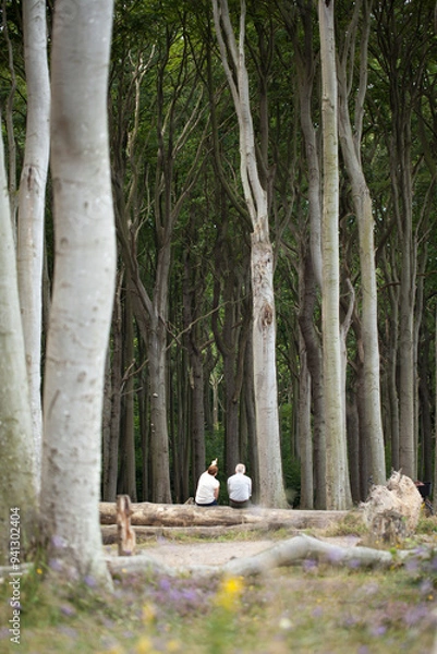 Obraz Den Wald beobachten