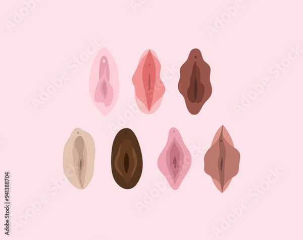 Fototapeta Vulva. Female reproductive system. Flat style icons. Vector