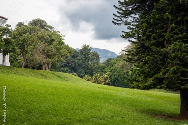 Obraz The Royal Botanic Garden.