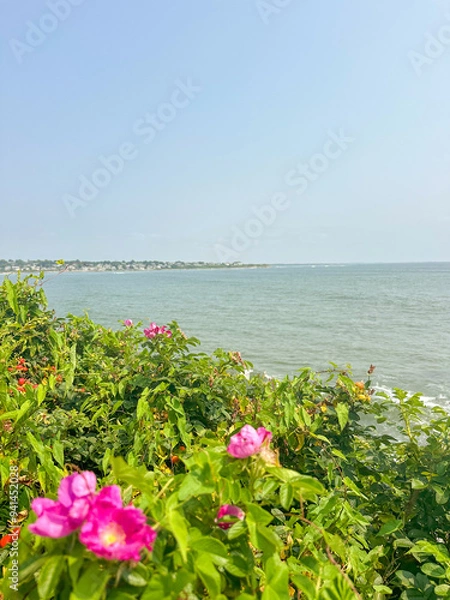 Fototapeta Flowers by the Ocean