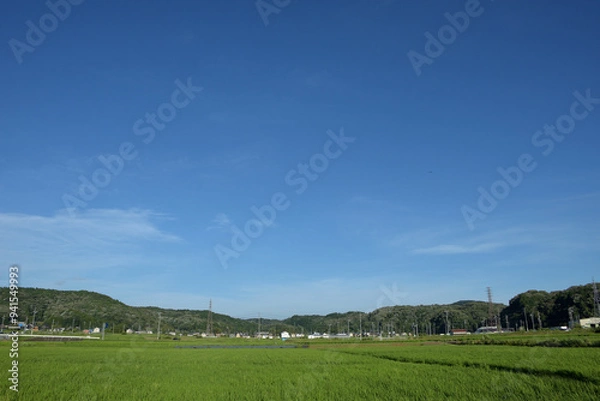 Fototapeta 気持ちいい青空の田園風景、日本の田舎の景色