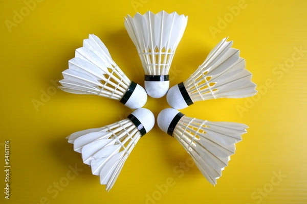 Obraz Shuttlecock