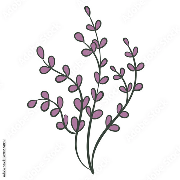 Fototapeta Coral Seaweed_8