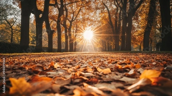 Fototapeta Warm autumn park path, covered in vibrant leaves, illuminated by soft, golden light from the setting sun, creating peaceful shadows and a relaxing ambiance