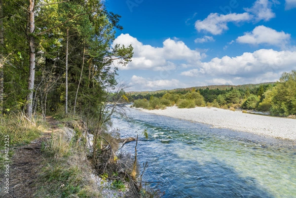Fototapeta Bewaldete Isarauen der Isar südlich von München