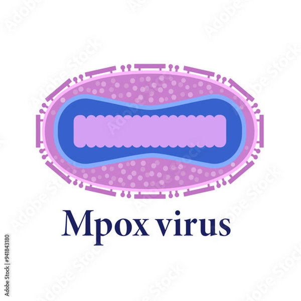 Fototapeta Vector icon of novel mpox virus with name, Monkeypox viral structure isolated on white background. Illustration of abstract model of virus detected in Africa. New pandemic threat. Smallpox virus.
