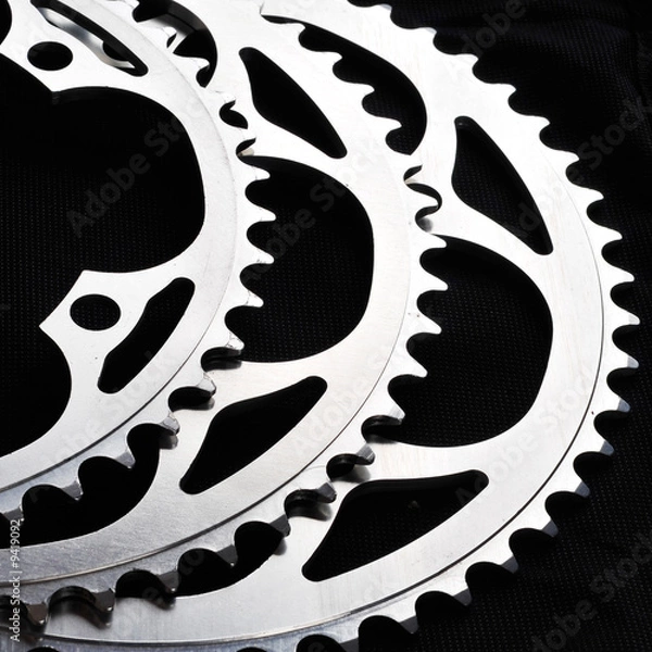 Obraz Close-up of pinion
