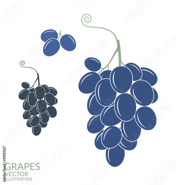Obraz Grapes. Isolated fruit on white background