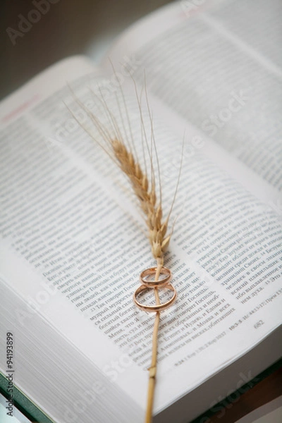 Obraz Свадьба, кольца