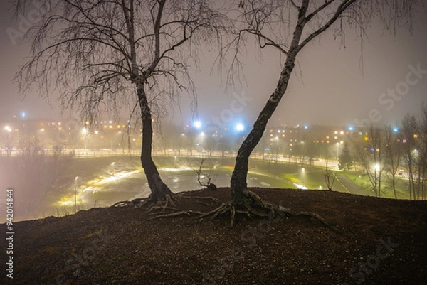 Obraz Mglisty wieczór