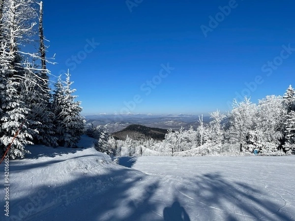 Obraz Skiing in the Adirondacks 
