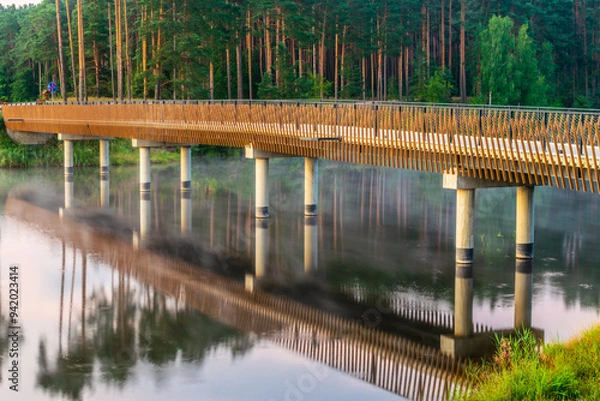 Obraz Mglisty most w lesie