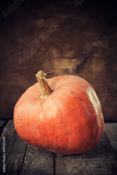 Obraz Pumpkin on wooden background