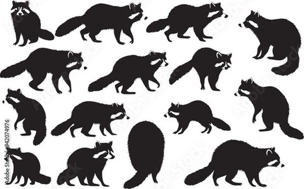 Fototapeta set of raccoon silhouette isolated on white background