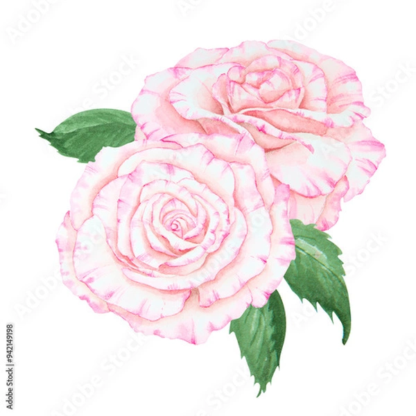 Obraz Light pink rose bouquet. Watercolor botanical illustration. Hand drawn clipart, cut out and isolated. Realistic flower drawing for delicate wedding prints, invitations, cards. Romantic design element.
