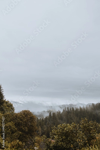 Obraz See through the fog