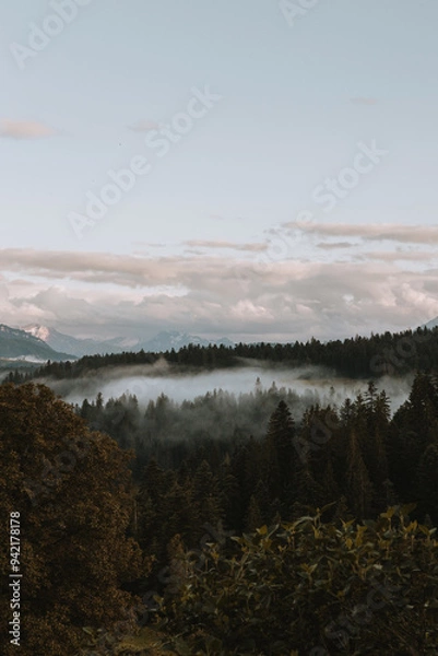 Obraz See through the fog