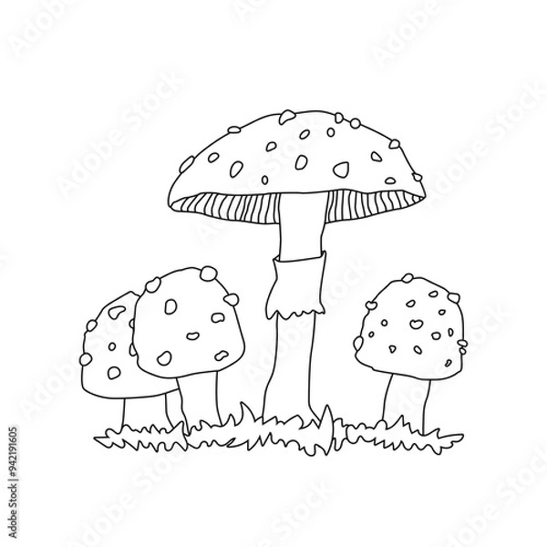 Obraz Black white outline cartoon hand drawing of fly agaric mushrooms. Isolated vector icon on white background