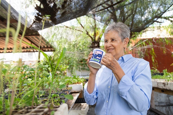 Obraz A woman is holding a mug and smiling while looking at plants. The plants are in pots and are growing in a greenhouse