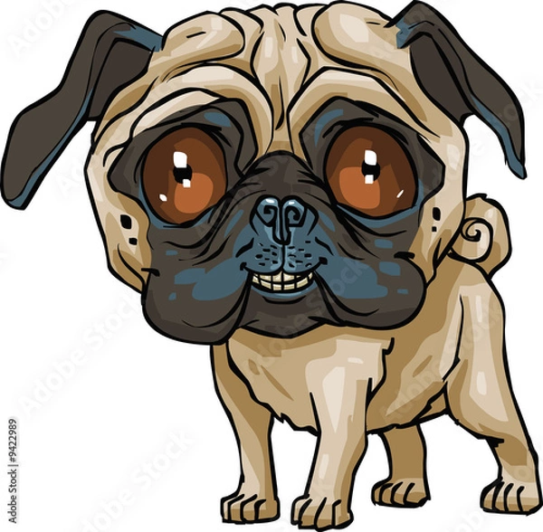 Obraz Mały pies mops