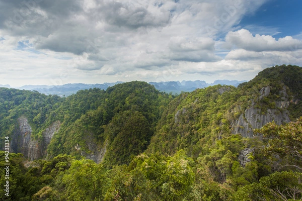 Obraz Big mountains covered by forest