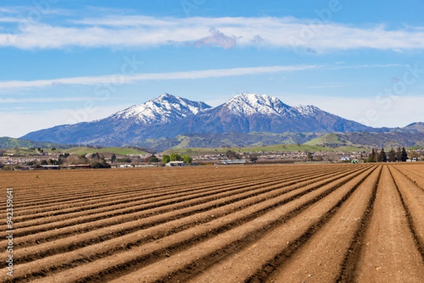 Obraz Freshly plowed farmland; Mount Diablo covered in snow in the background; Brentwood, San Francisco Bay Area, California