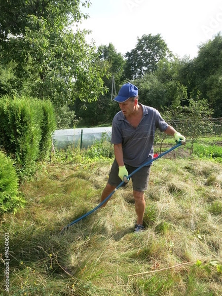 Obraz Летние заботы