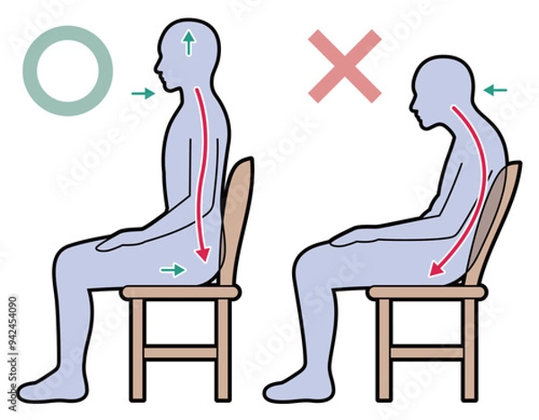 Fototapeta 座り方　姿勢　図解