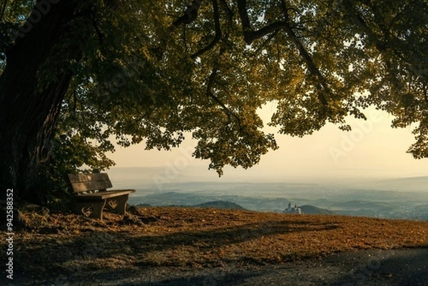 Obraz bench with a view