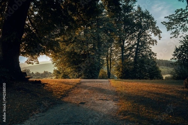 Obraz path and trees at autumn sunlight