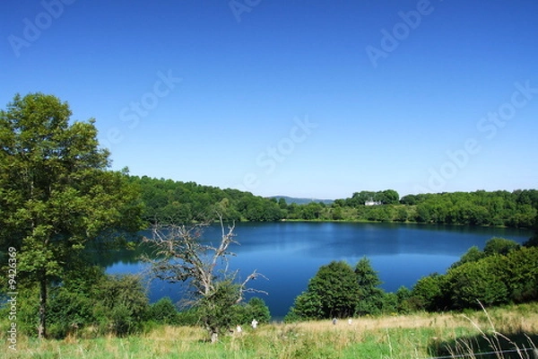 Fototapeta Weinfelder Maar
