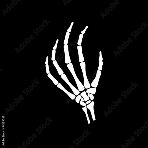 Obraz White hand bone in black background