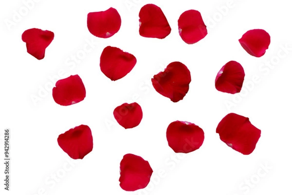 Fototapeta Red Rose petals. Set of red flower petals. simple red petals collection.