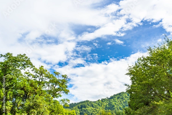 Fototapeta 林の間から見る青空と薄雲、山の稜線