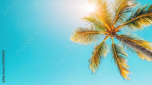 Fototapeta Tropical sun shining brightly over a palm-lined beach, warm weather, summer vibes