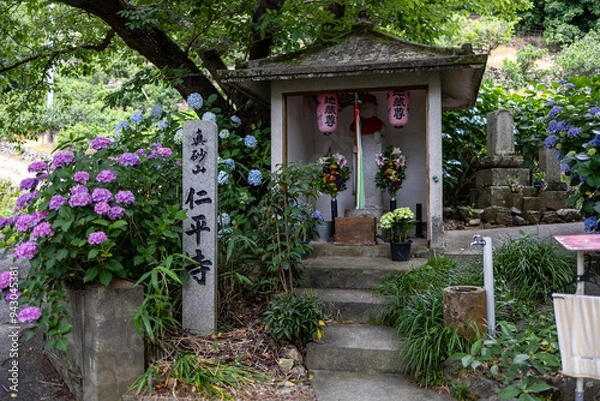 Obraz あじさいの名所仁平寺