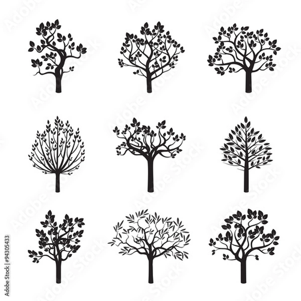 Fototapeta Set of Black Trees and Roots