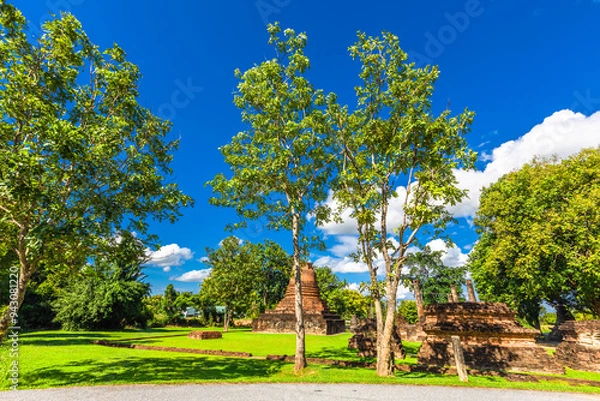 Fototapeta Background of various species of trees growing on the foot of the mountain, on the high rocks on the mountain top, beautiful ecosystem, fresh air.